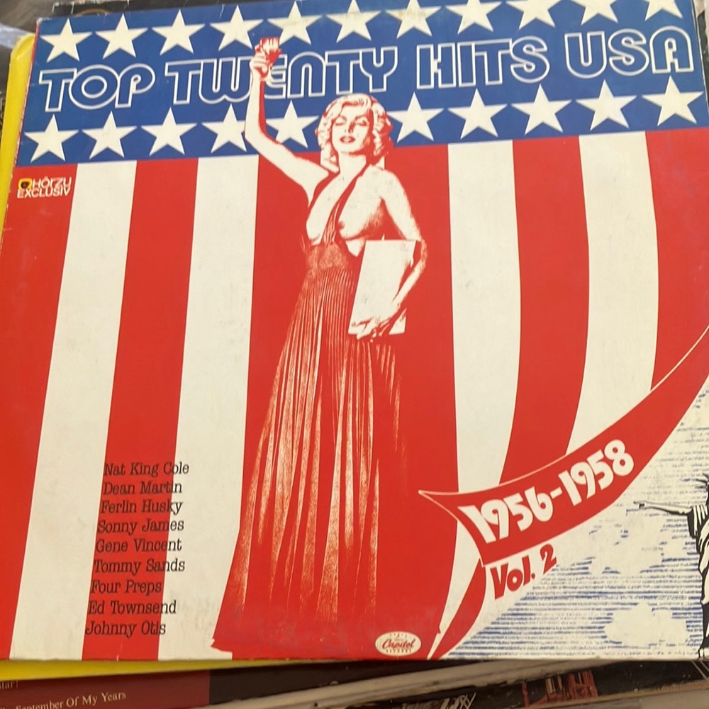 Top Twenty Hits USA Vinyl Record